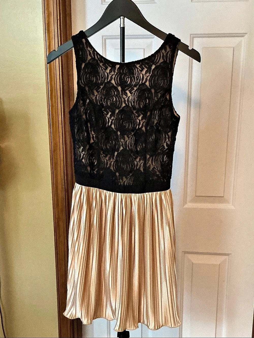 Rewind Floral Lace Pleated Mini Dress in Black & Pink Size Small N\